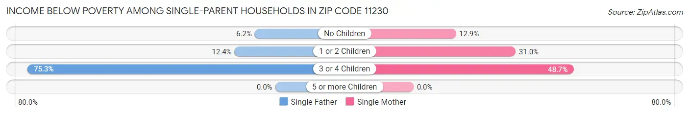 Income Below Poverty Among Single-Parent Households in Zip Code 11230