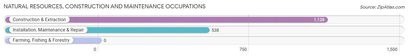 Natural Resources, Construction and Maintenance Occupations in Zip Code 11233