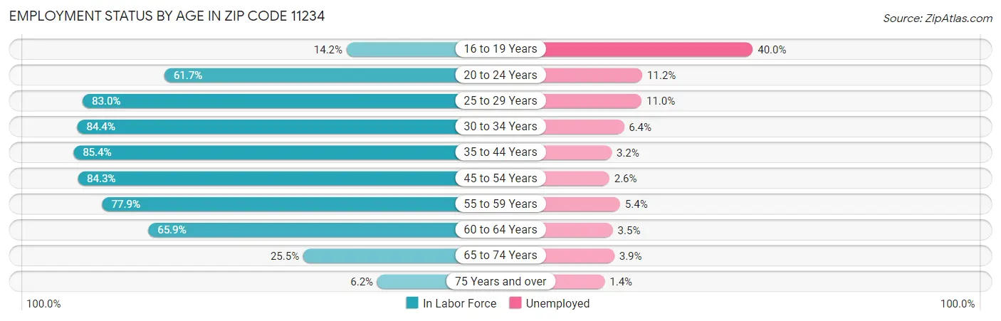 Employment Status by Age in Zip Code 11234