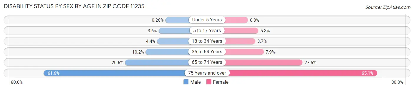 Disability Status by Sex by Age in Zip Code 11235