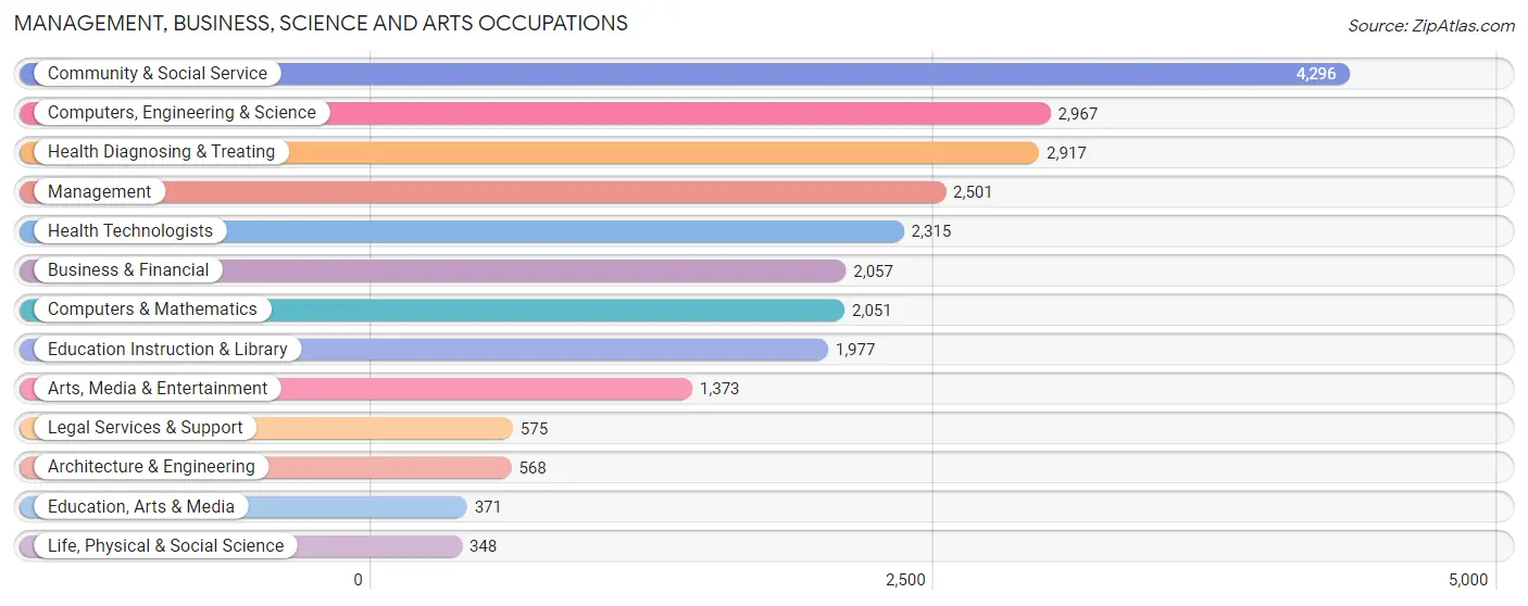 Management, Business, Science and Arts Occupations in Zip Code 11235