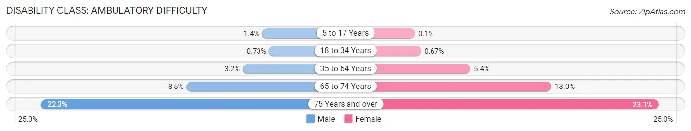 Disability in Zip Code 11236: <span>Ambulatory Difficulty</span>