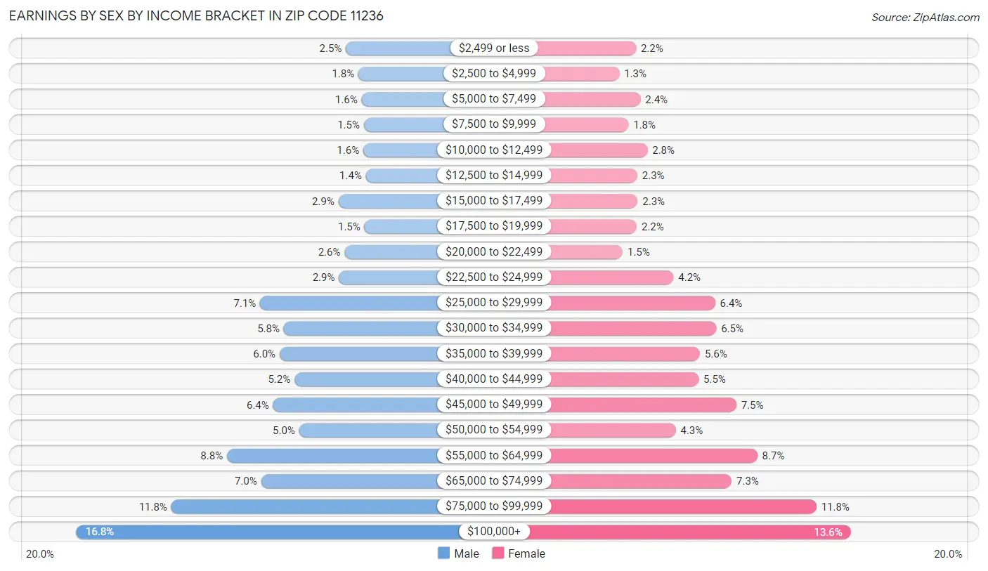 Earnings by Sex by Income Bracket in Zip Code 11236