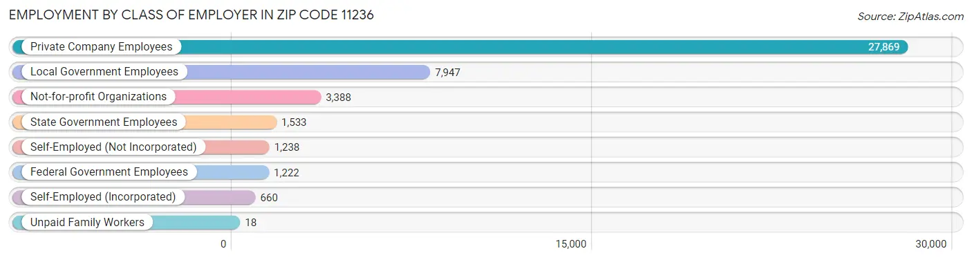 Employment by Class of Employer in Zip Code 11236