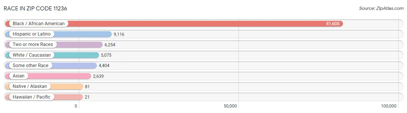 Race in Zip Code 11236