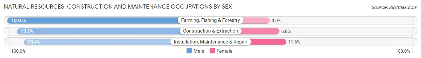Natural Resources, Construction and Maintenance Occupations by Sex in Zip Code 11238