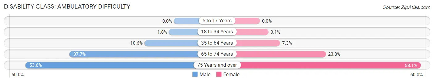 Disability in Zip Code 11239: <span>Ambulatory Difficulty</span>