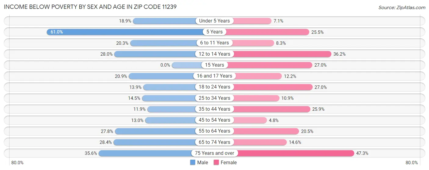 Income Below Poverty by Sex and Age in Zip Code 11239