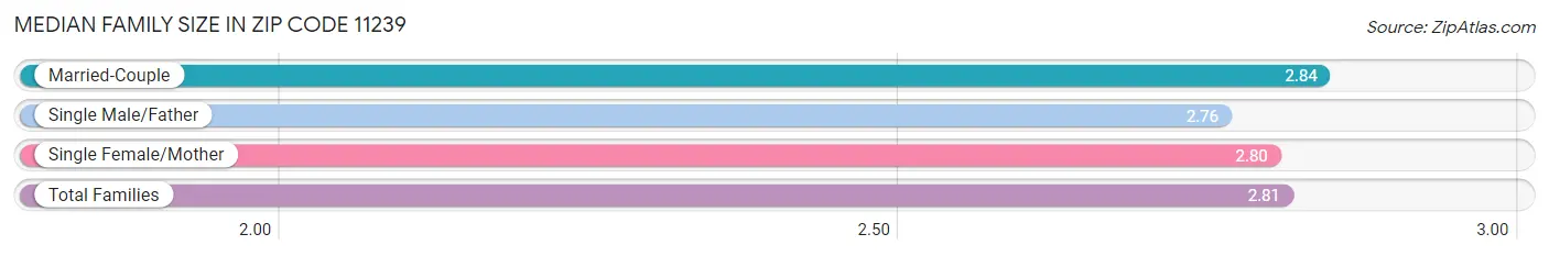 Median Family Size in Zip Code 11239