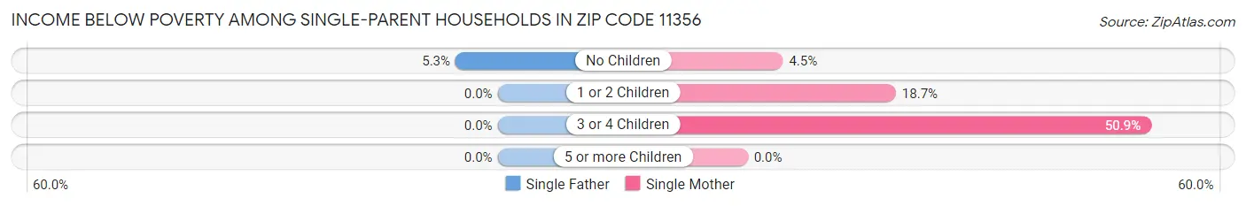 Income Below Poverty Among Single-Parent Households in Zip Code 11356