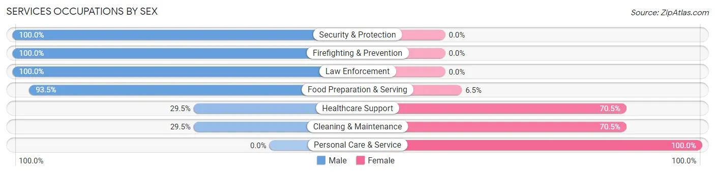 Services Occupations by Sex in Zip Code 11363