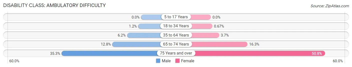 Disability in Zip Code 11374: <span>Ambulatory Difficulty</span>