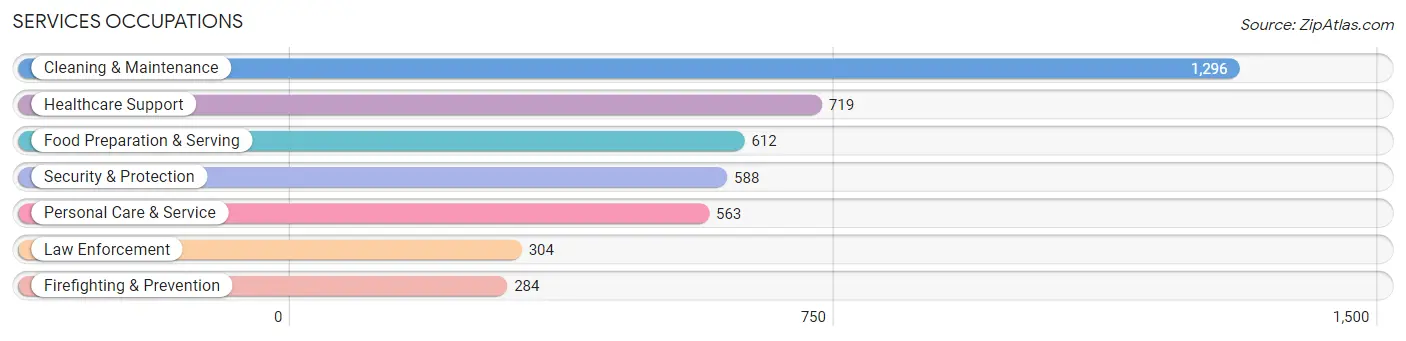 Services Occupations in Zip Code 11379