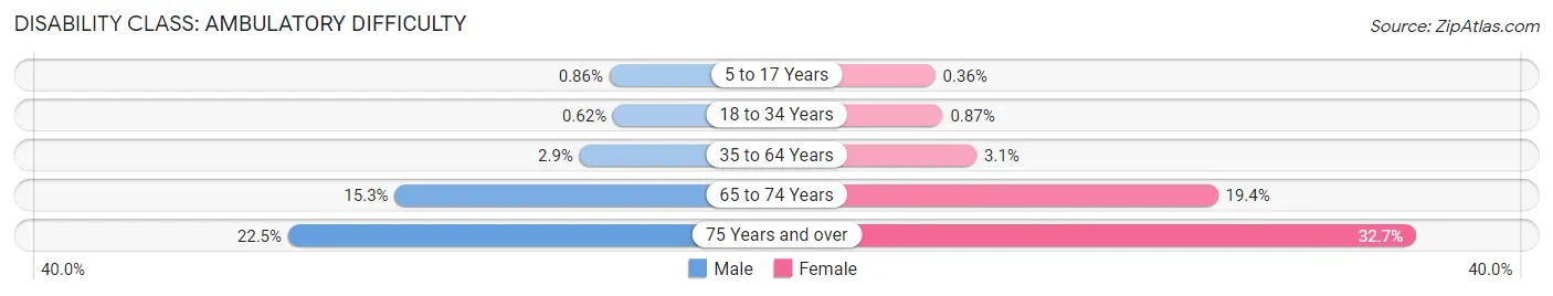 Disability in Zip Code 11385: <span>Ambulatory Difficulty</span>