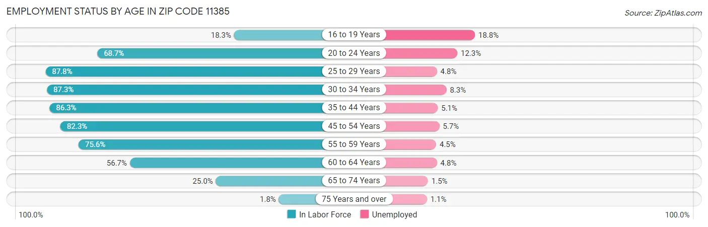 Employment Status by Age in Zip Code 11385