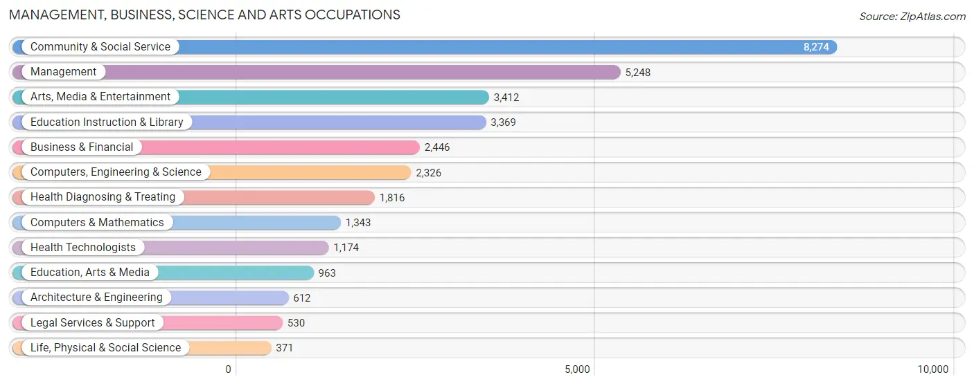 Management, Business, Science and Arts Occupations in Zip Code 11385