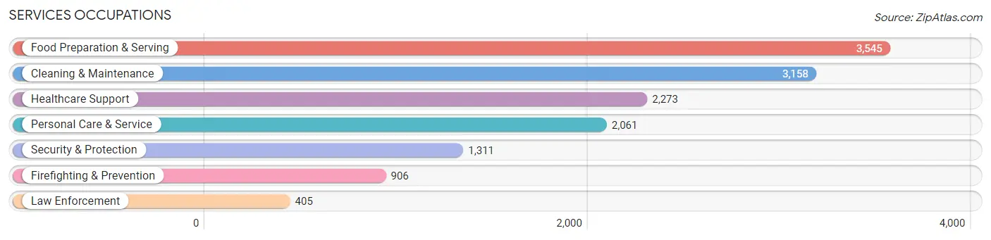 Services Occupations in Zip Code 11385