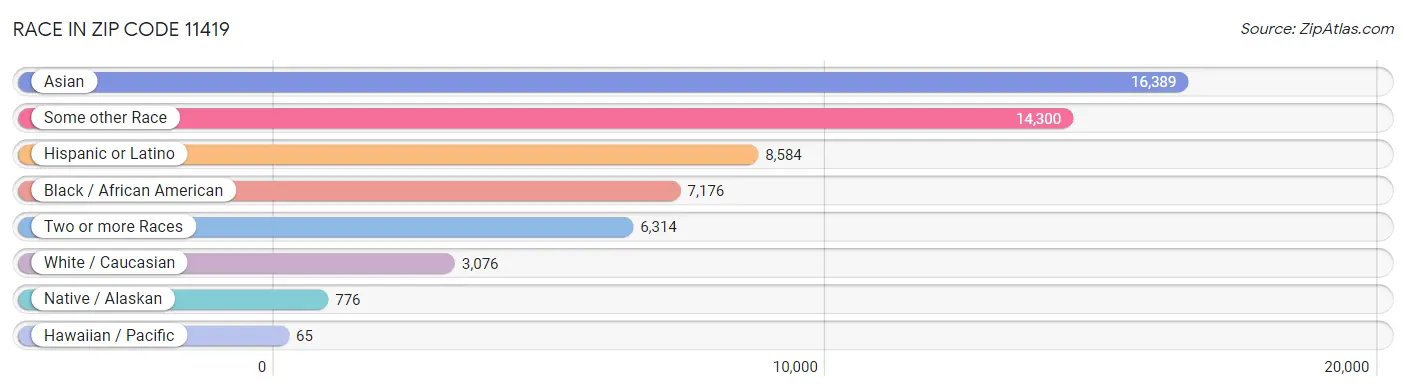 Race in Zip Code 11419