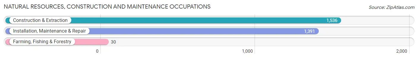 Natural Resources, Construction and Maintenance Occupations in Zip Code 11420