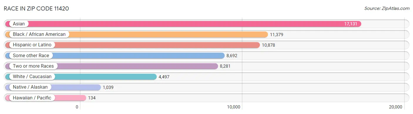Race in Zip Code 11420
