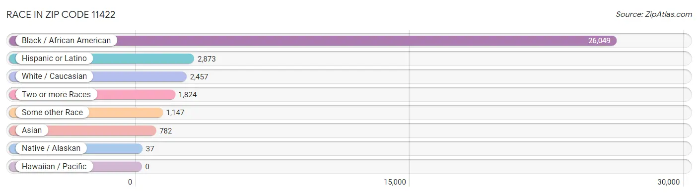 Race in Zip Code 11422