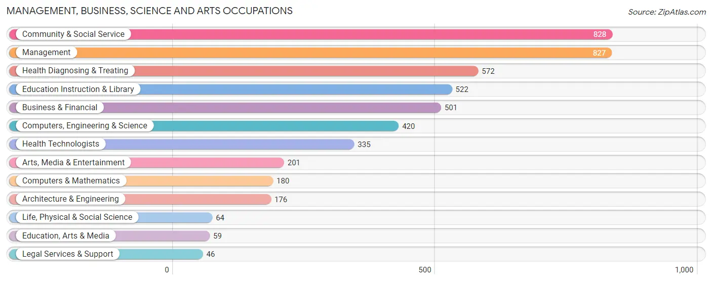 Management, Business, Science and Arts Occupations in Zip Code 11428