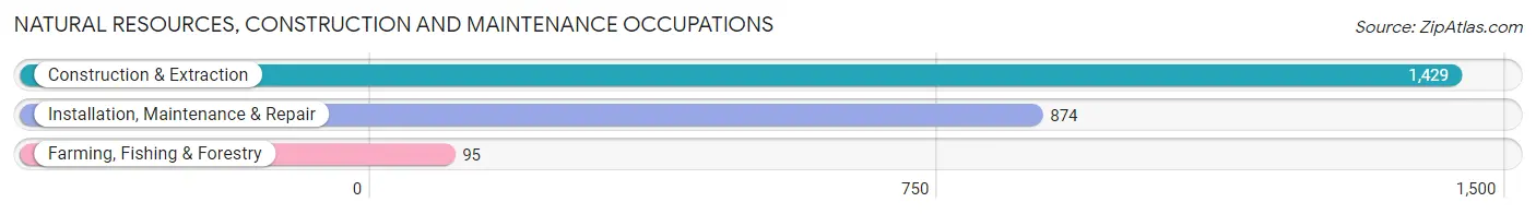 Natural Resources, Construction and Maintenance Occupations in Zip Code 11520