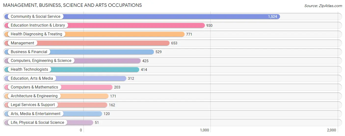 Management, Business, Science and Arts Occupations in Zip Code 11553