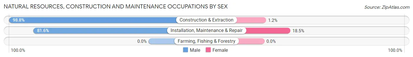 Natural Resources, Construction and Maintenance Occupations by Sex in Zip Code 11553