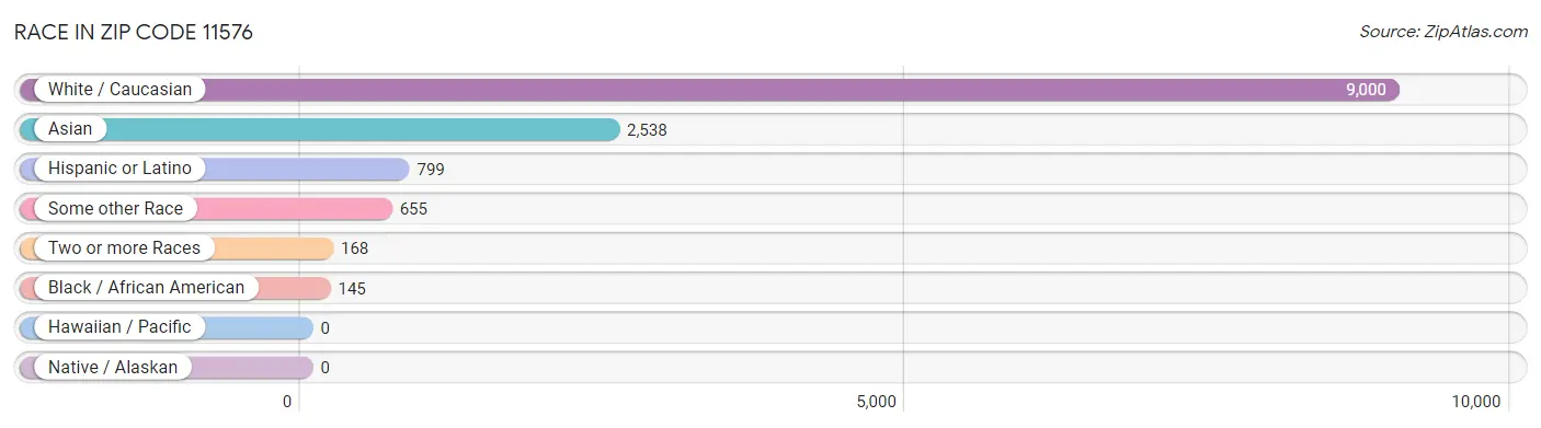 Race in Zip Code 11576