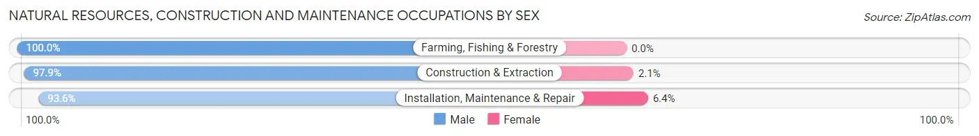 Natural Resources, Construction and Maintenance Occupations by Sex in Zip Code 11580