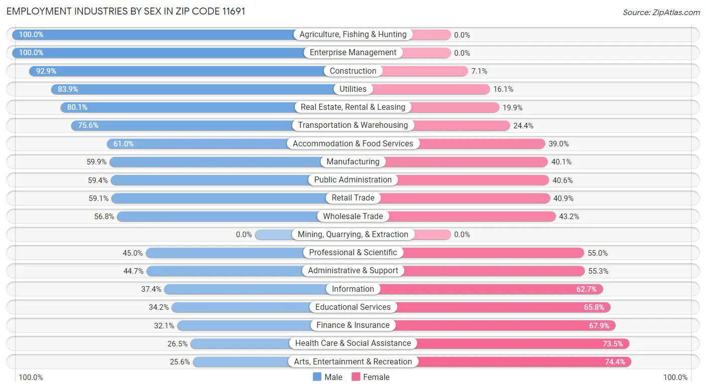 Employment Industries by Sex in Zip Code 11691