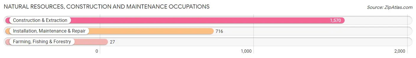 Natural Resources, Construction and Maintenance Occupations in Zip Code 11691