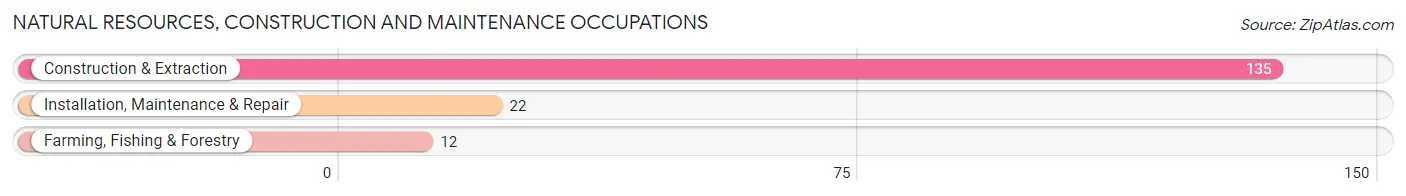 Natural Resources, Construction and Maintenance Occupations in Zip Code 11715