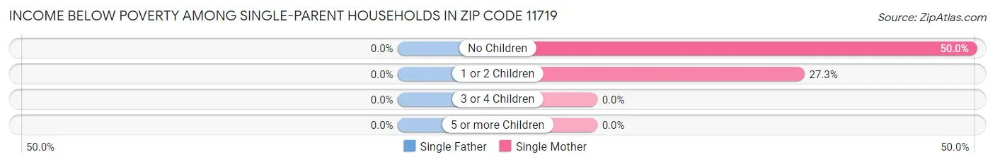 Income Below Poverty Among Single-Parent Households in Zip Code 11719
