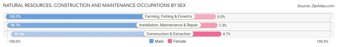 Natural Resources, Construction and Maintenance Occupations by Sex in Zip Code 11720