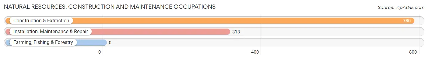 Natural Resources, Construction and Maintenance Occupations in Zip Code 11731