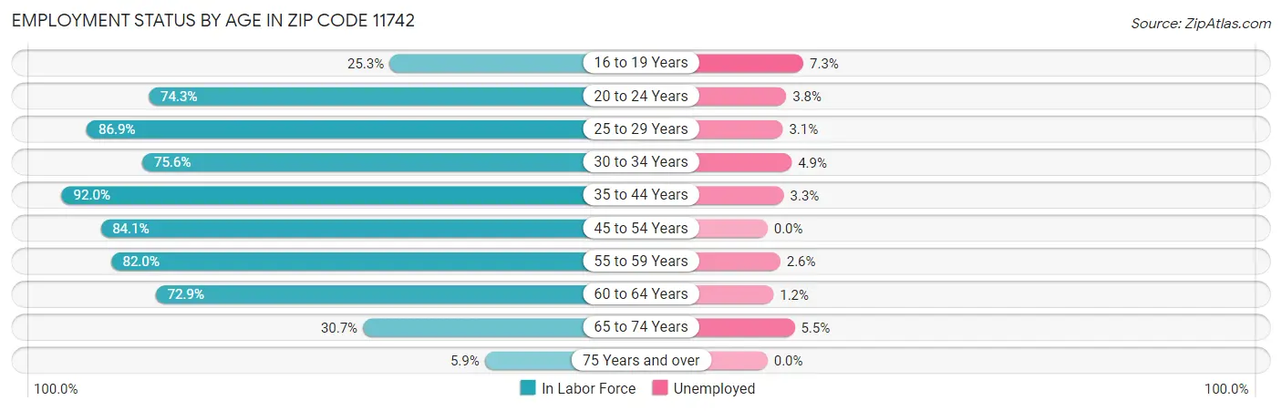 Employment Status by Age in Zip Code 11742