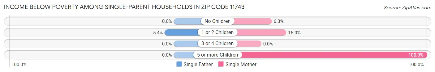 Income Below Poverty Among Single-Parent Households in Zip Code 11743
