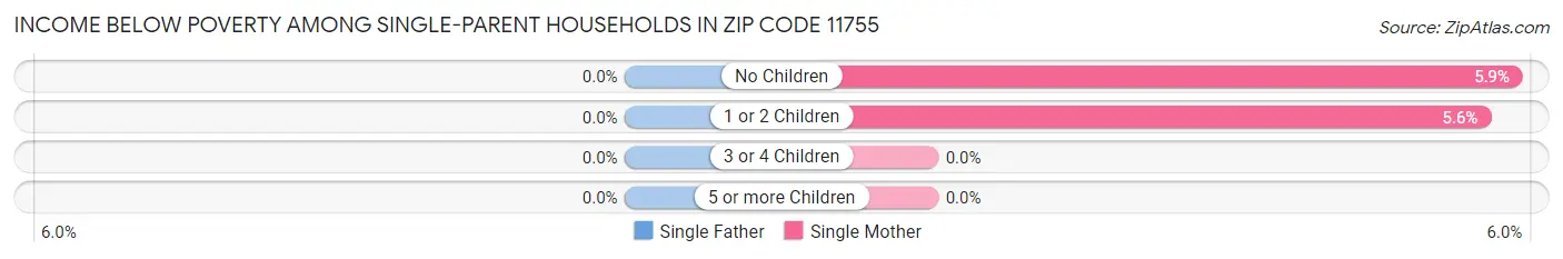 Income Below Poverty Among Single-Parent Households in Zip Code 11755