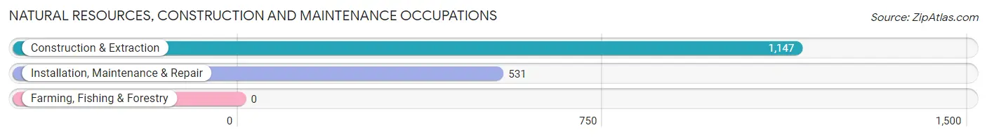 Natural Resources, Construction and Maintenance Occupations in Zip Code 11756