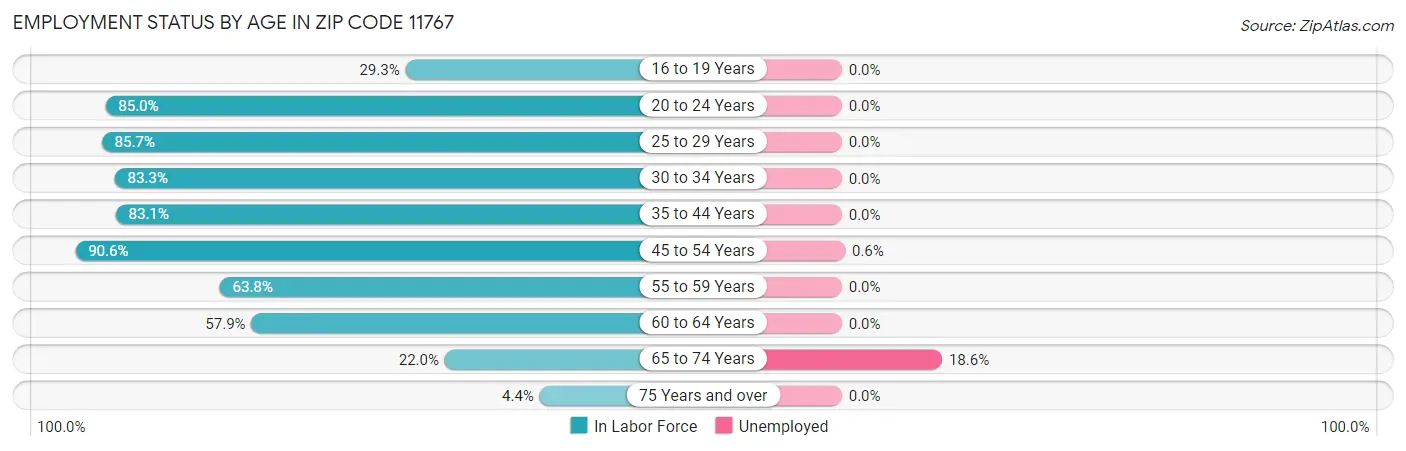 Employment Status by Age in Zip Code 11767