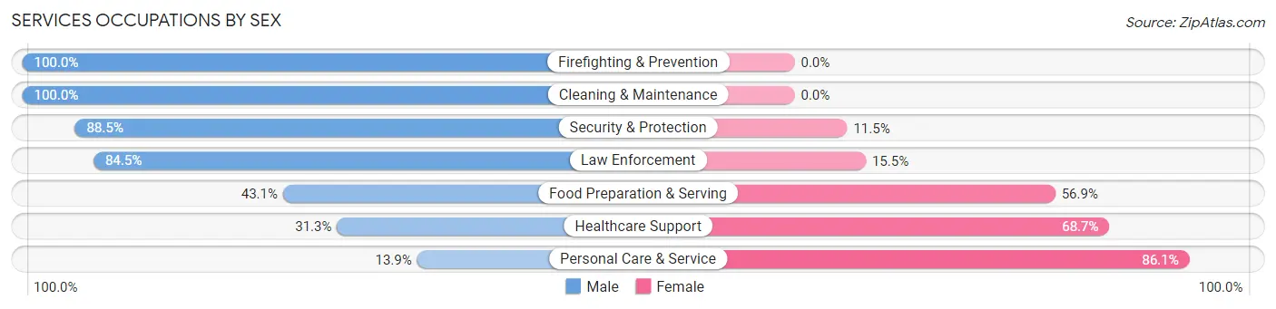 Services Occupations by Sex in Zip Code 11788