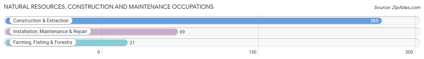 Natural Resources, Construction and Maintenance Occupations in Zip Code 11791