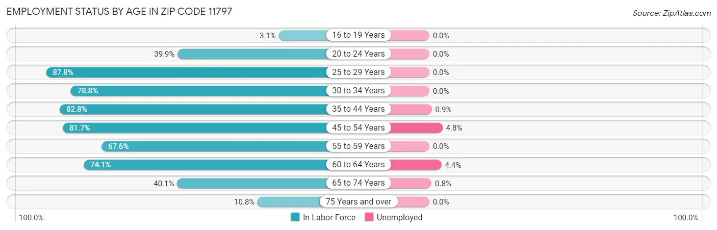 Employment Status by Age in Zip Code 11797