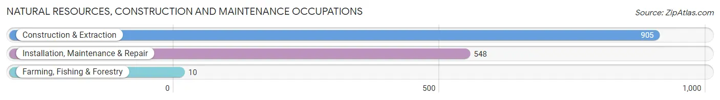 Natural Resources, Construction and Maintenance Occupations in Zip Code 11801