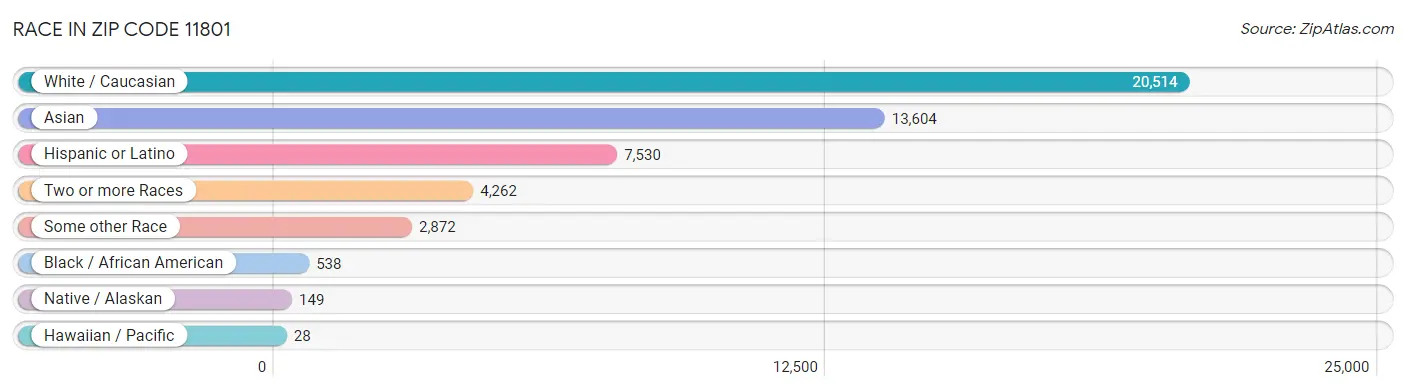 Race in Zip Code 11801