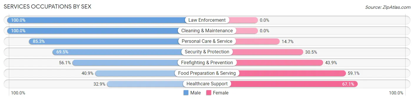 Services Occupations by Sex in Zip Code 11804