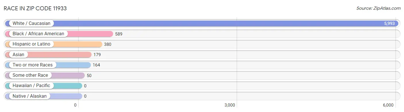Race in Zip Code 11933