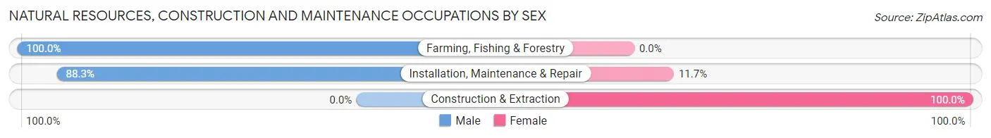 Natural Resources, Construction and Maintenance Occupations by Sex in Zip Code 11952